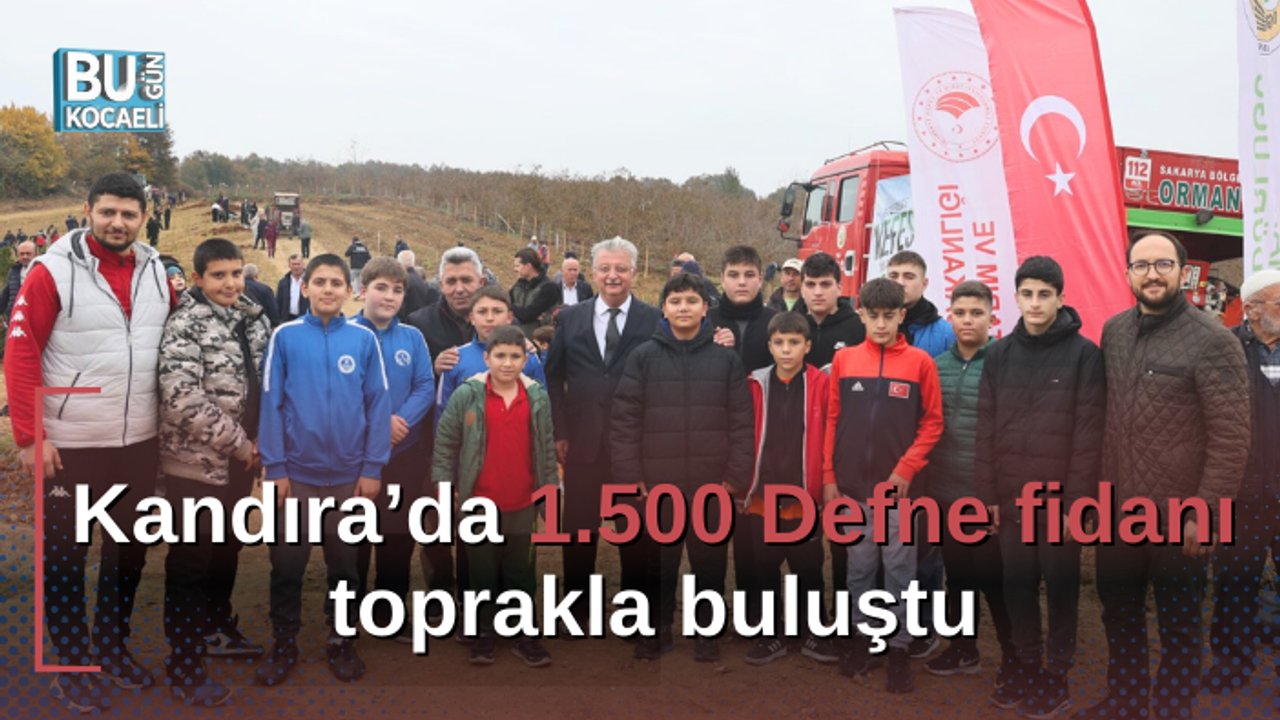 Kandıra’da 1.500 Defne fidanı toprakla buluştu