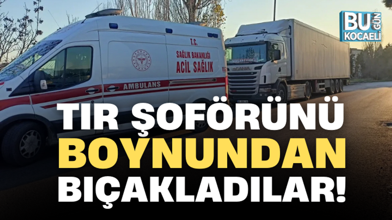 TIR ŞOFÖRÜNÜ BOYNUNDAN BIÇAKLADILAR!