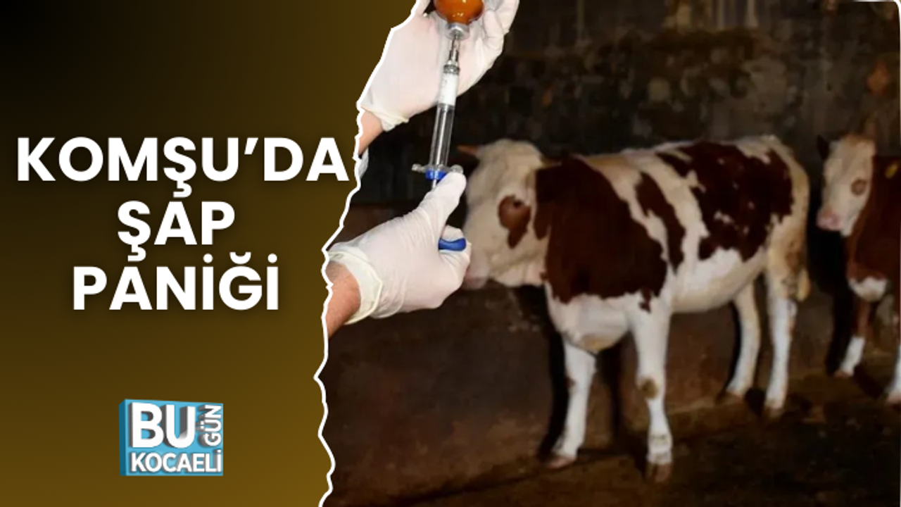 AMAN DİKKAT KOMŞUDA ŞAP PANİĞİ