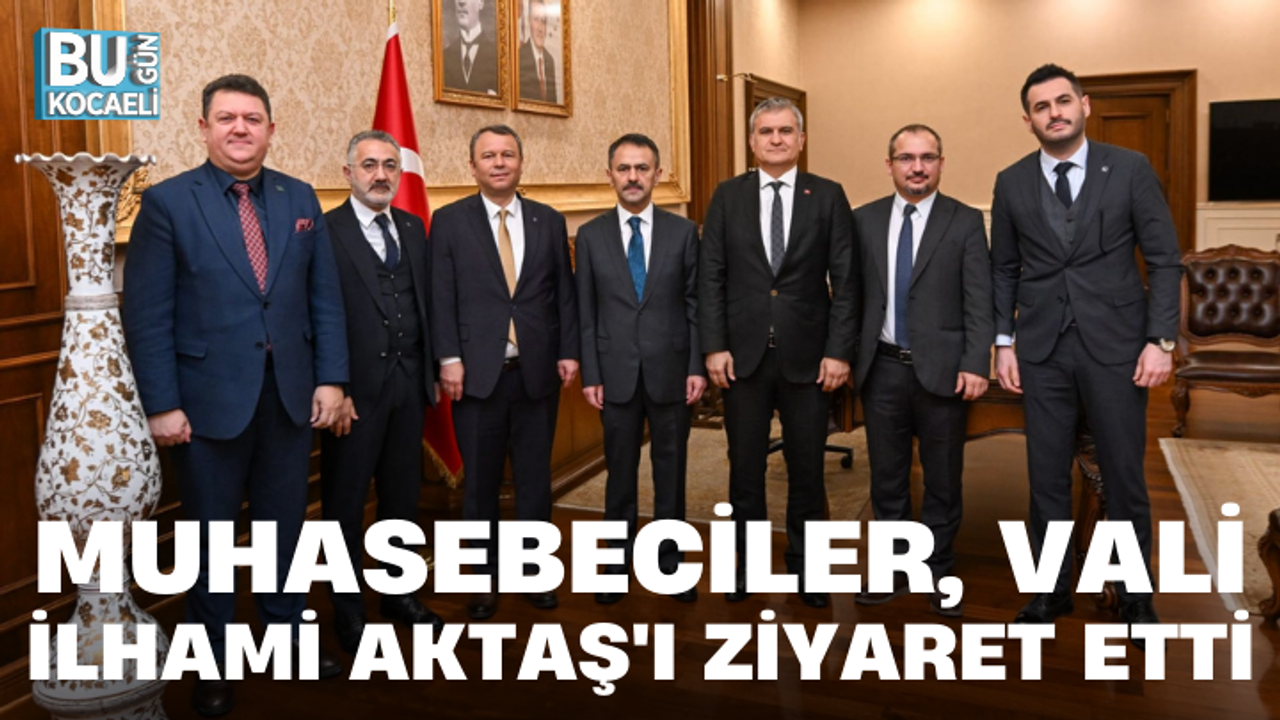 MUHASEBECİLER VALİ İLHAMİ AKTAŞ'I ZİYARET ETTİ