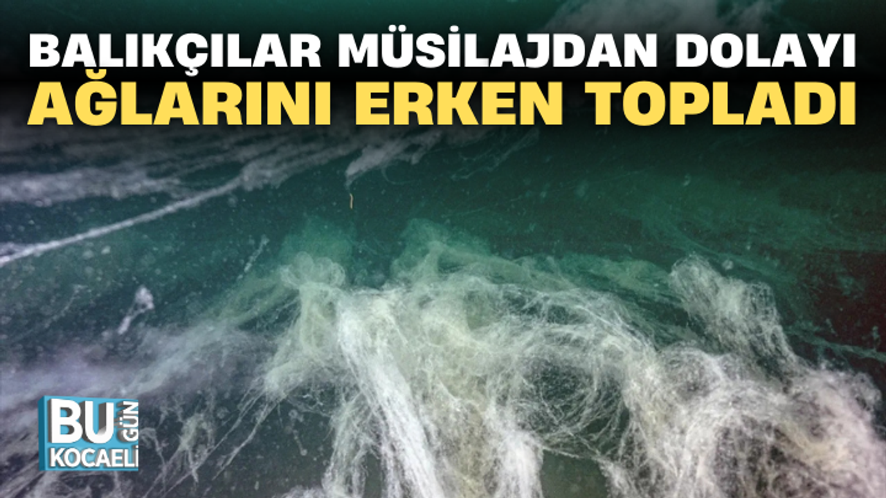 BALIKÇILAR MÜSİLAJDAN DOLAYI AĞLARINI ERKEN TOPLADI