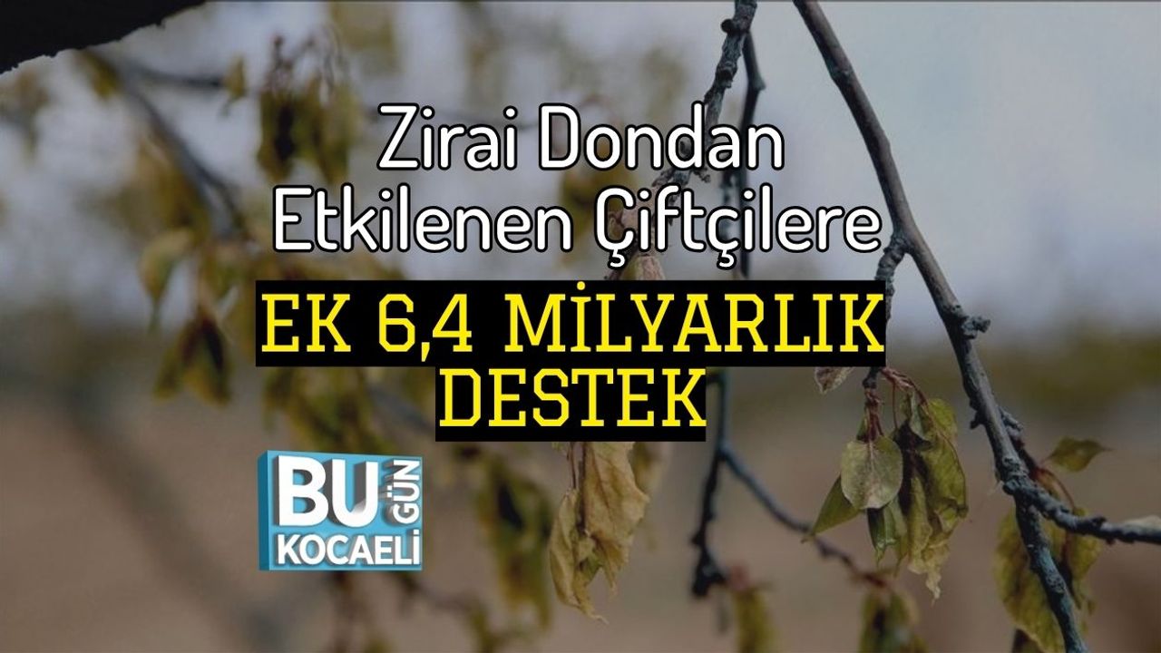 Zirai Dondan Etkilenen Çiftçilere Ek 6,4 Milyarlık Destek