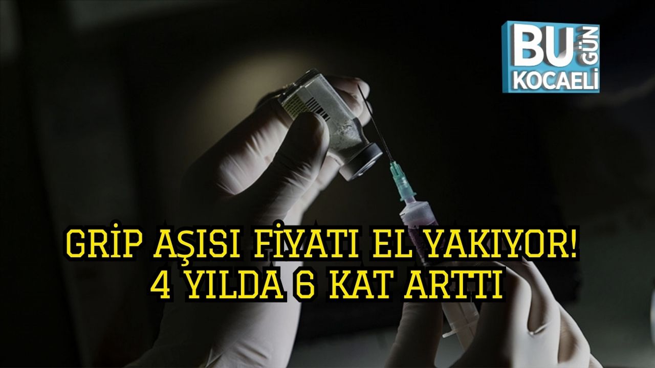 Grip Aşısı Fiyatı El Yakıyor! 4 Yılda 6 Kat Arttı