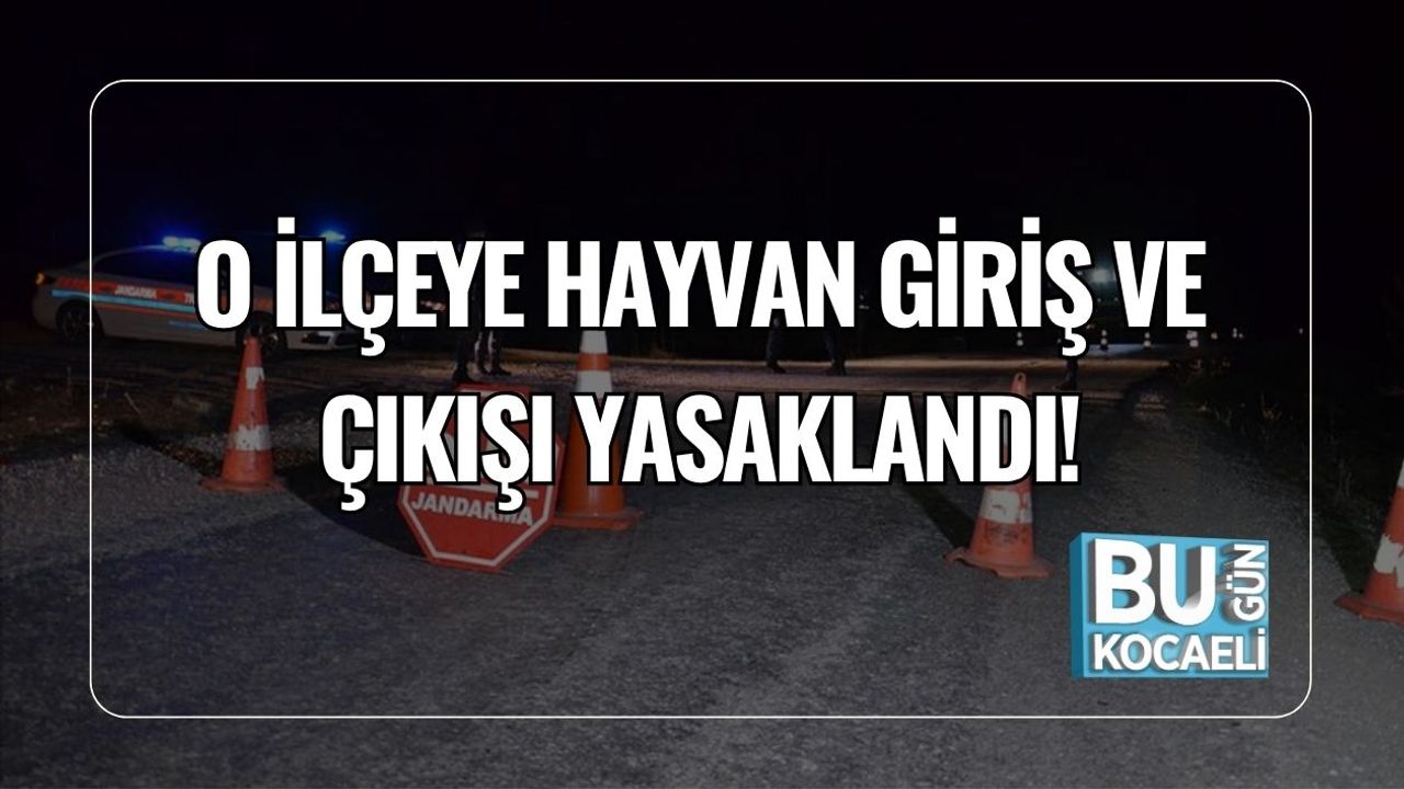 O İlçeye Hayvan Giriş ve Çıkışı Yasaklandı!