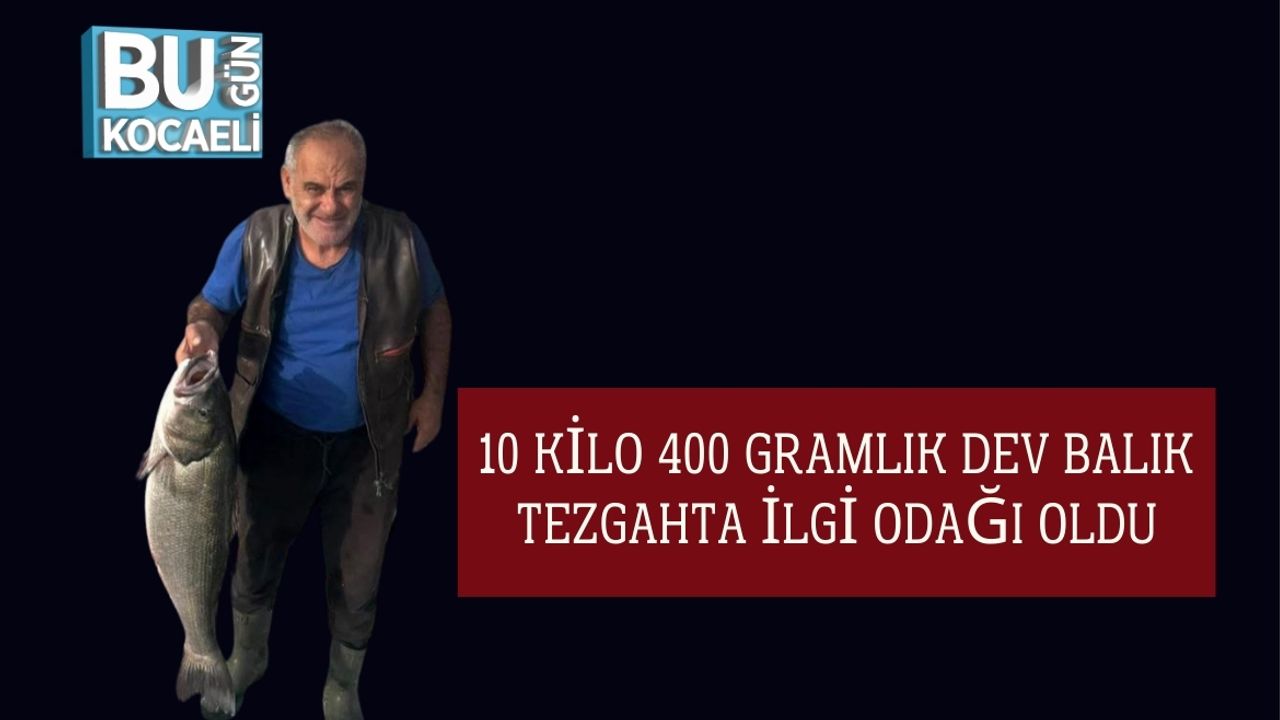 10 Kilo 400 Gramlık Dev Balık Tezgahta İlgi Odağı Oldu