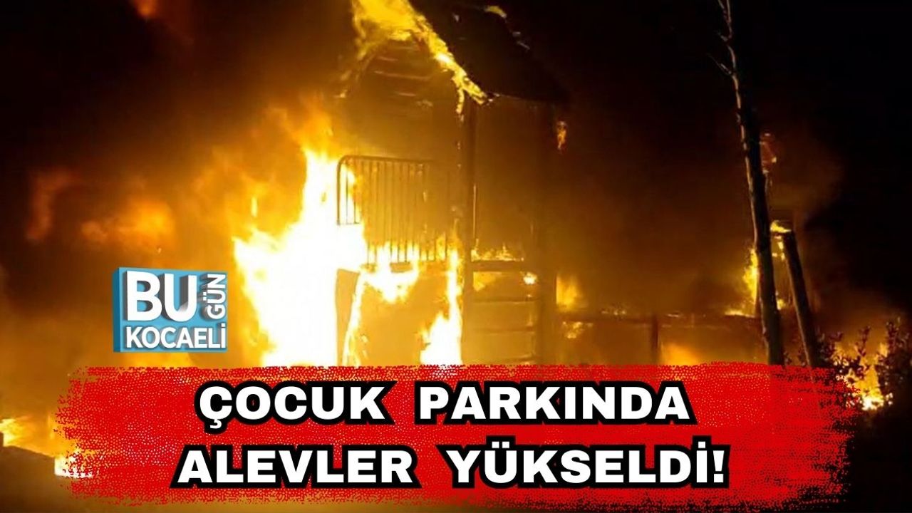 Çocuk Parkında Alevler Yükseldi!