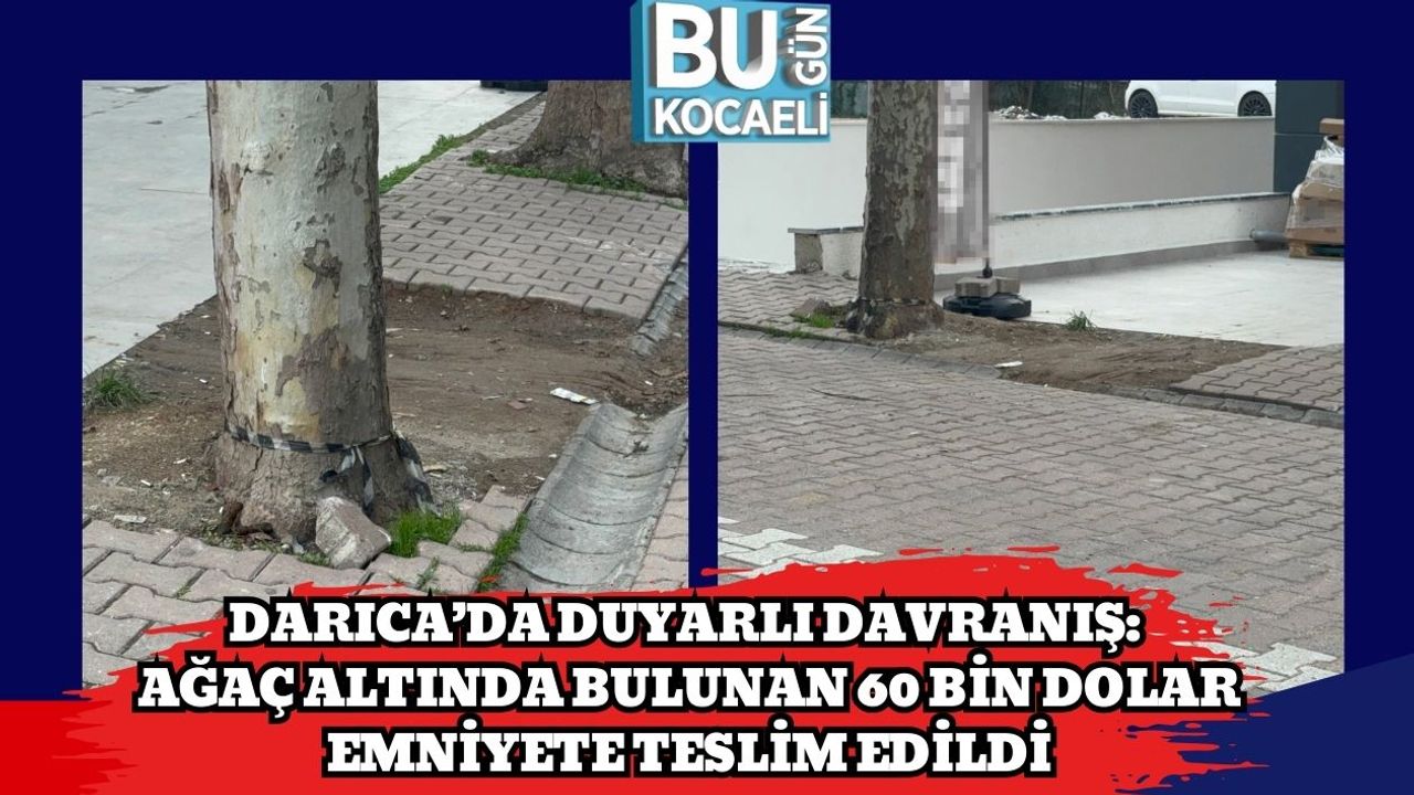 Darıca’da Duyarlı Davranış: Ağaç Altında Bulunan 60 Bin Dolar Emniyete Teslim Edildi