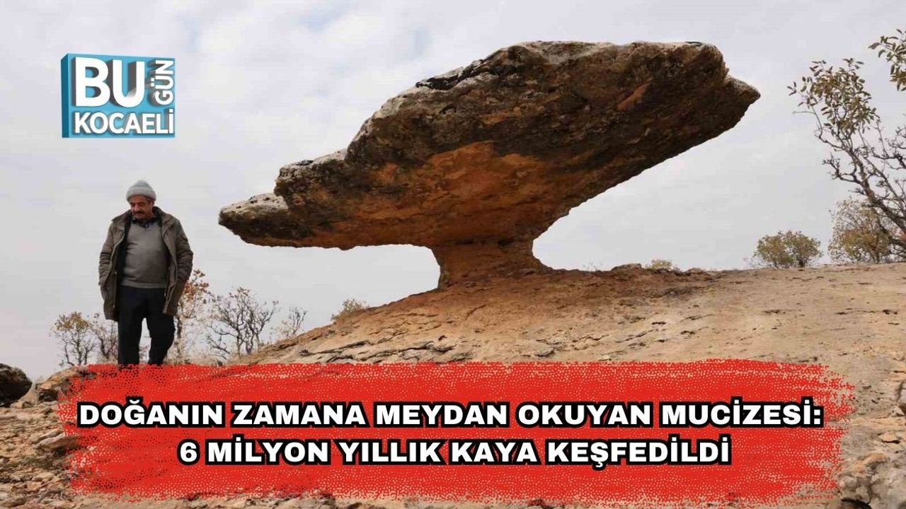 Doğanın Zamana Meydan Okuyan Mucizesi: 6 Milyon Yıllık Kaya Keşfedildi