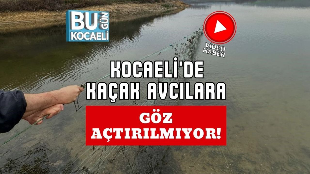 Kocaeli'de Kaçak Avcılara Göz Açtırılmıyor!