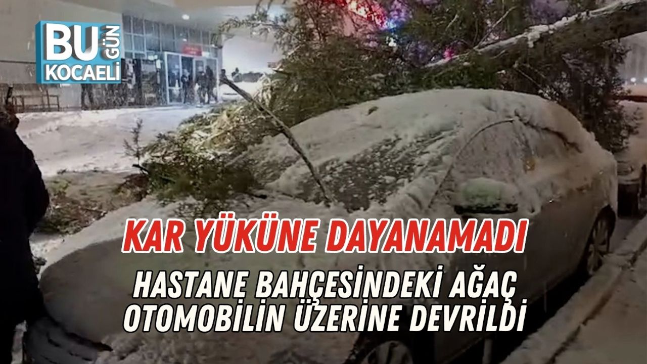 Kar Yüküne Dayanamadı: Hastane Bahçesindeki Ağaç Otomobilin Üzerine Devrildi