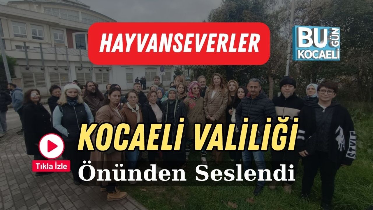 Hayvanseverler Kocaeli Valiliği Önünden Seslendi