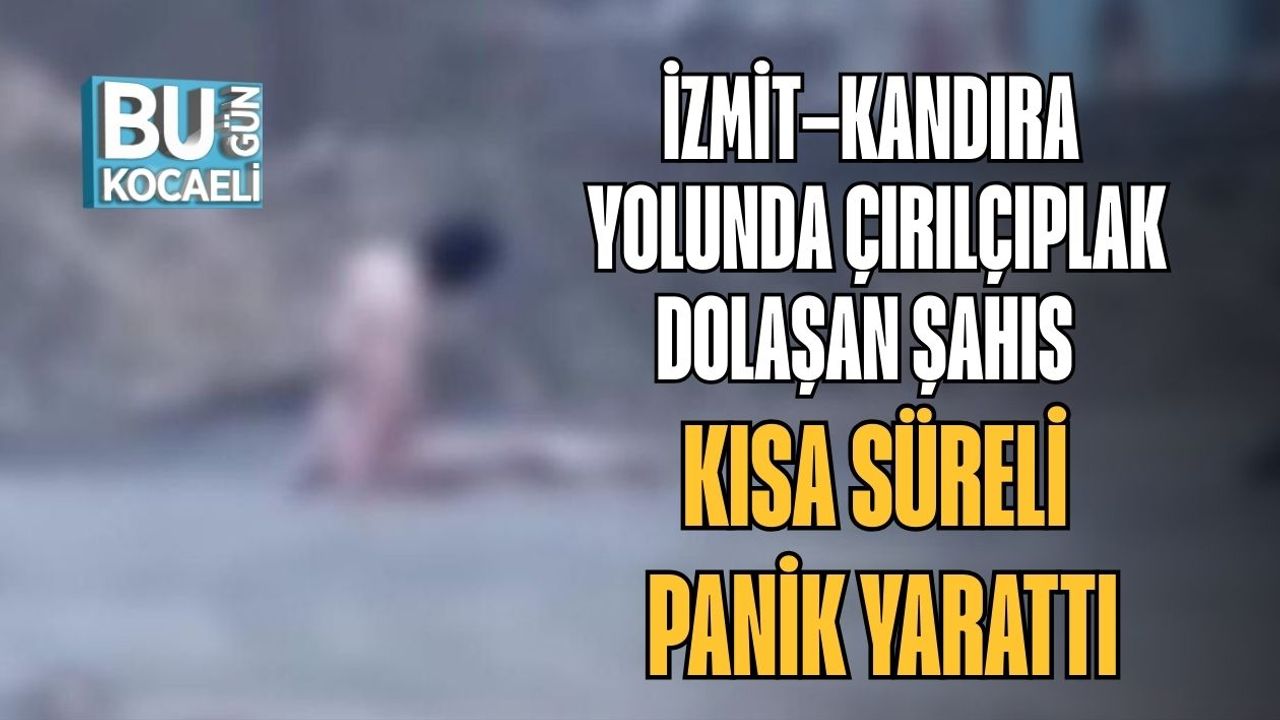 İzmit–Kandıra Yolunda Çırılçıplak Dolaşan Şahıs Kısa Süreli Panik Yarattı