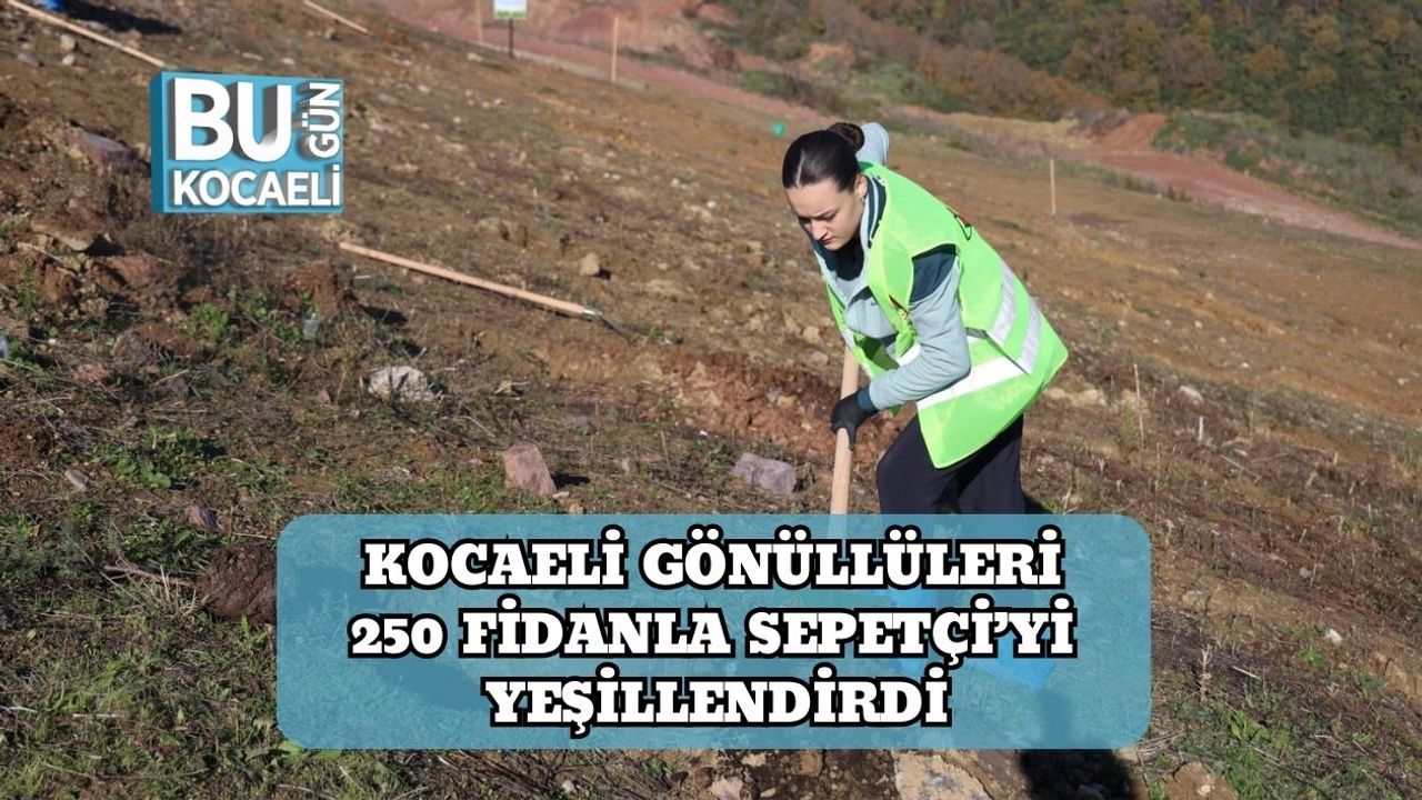 Kocaeli Gönüllüleri 250 Fidanla Sepetçi’yi Yeşillendirdi