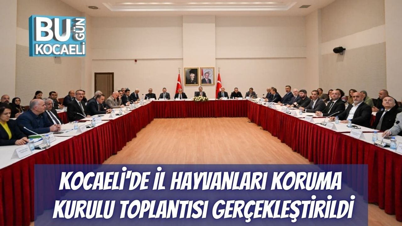 Kocaeli'de İl Hayvanları Koruma Kurulu Toplantısı Gerçekleştirildi