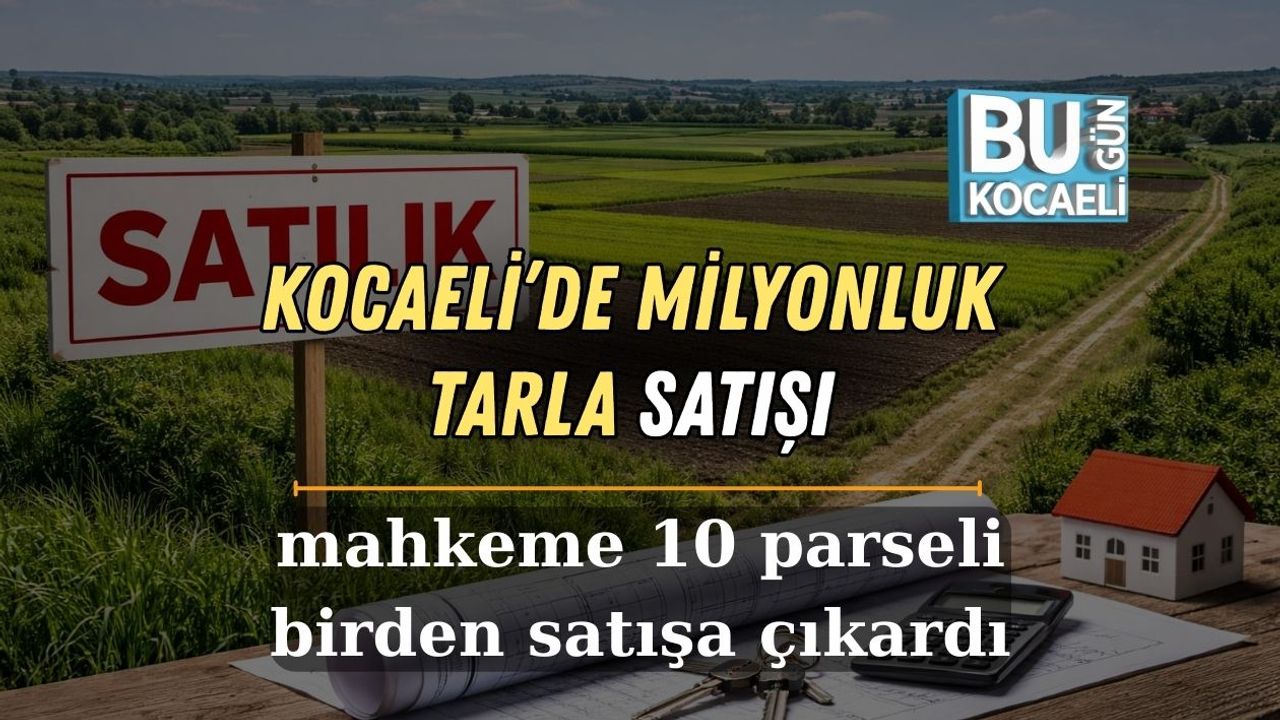 Kocaeli’de Milyonluk Tarla Satışı: Mahkeme 10 Parseli Birden Satışa Çıkardı