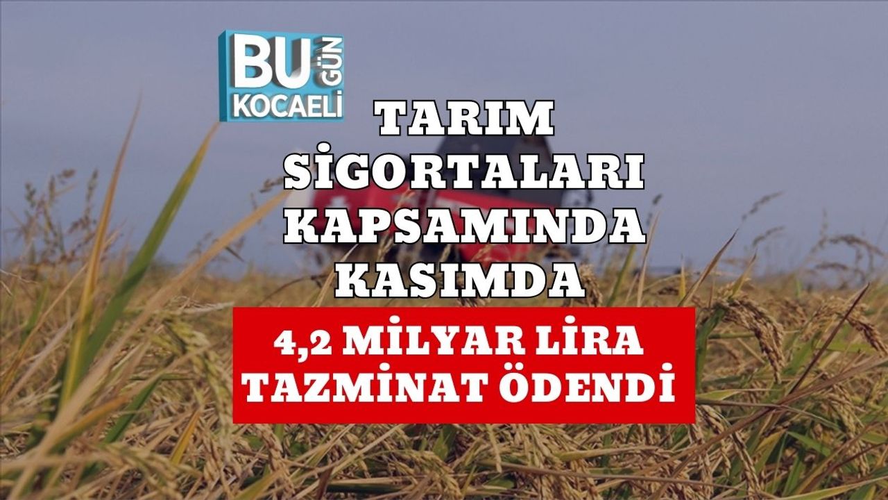 Tarım Sigortaları Kapsamında Kasımda 4,2 Milyar Lira Tazminat Ödendi