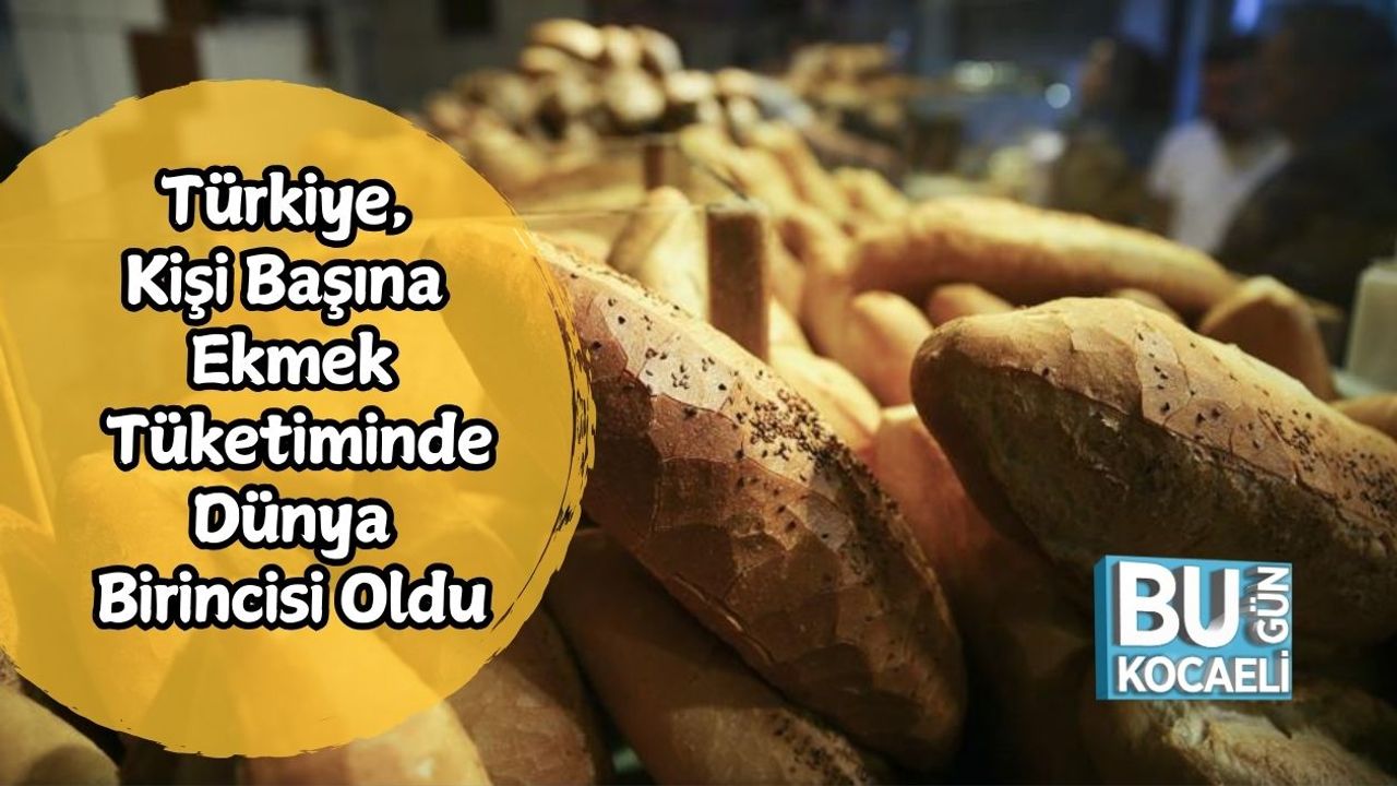 Türkiye, Kişi Başına Ekmek Tüketiminde Dünya Birincisi Oldu