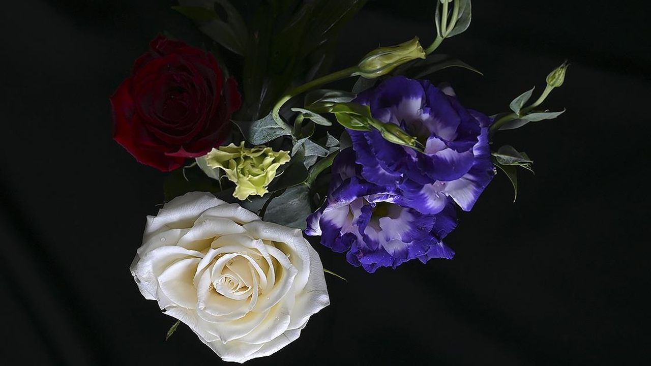 Türkiye'den Yılbaşı İçin Kaç Milyon Dolarlık Çiçek İhracatı Yapıldı?