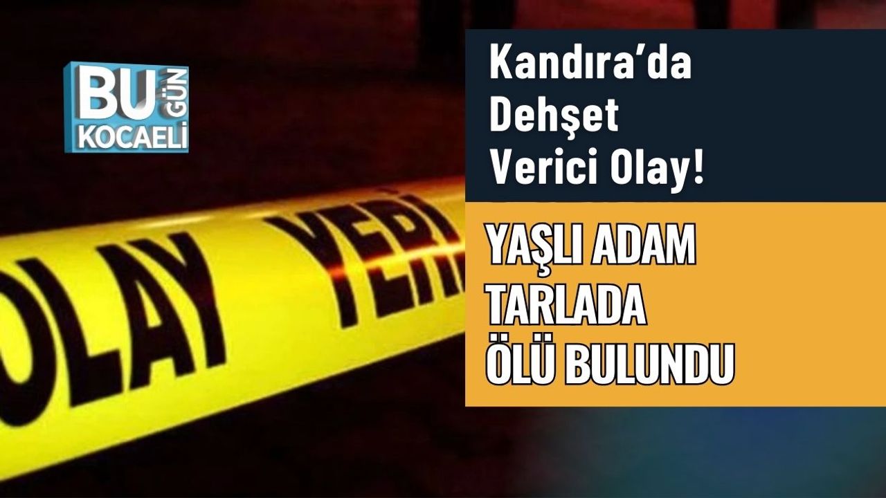 Kandıra’da Dehşet Verici Olay! Yaşlı Adam Tarlada Ölü Bulundu