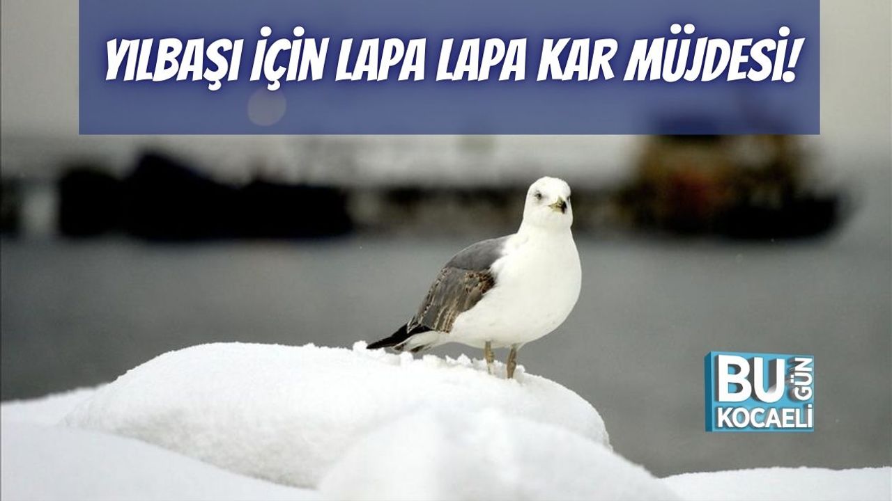 Yılbaşı İçin Lapa Lapa Kar Müjdesi!