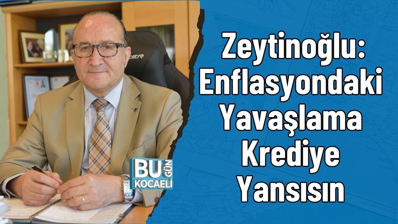 Zeytinoğlu: Enflasyondaki Yavaşlama Krediye Yansısın