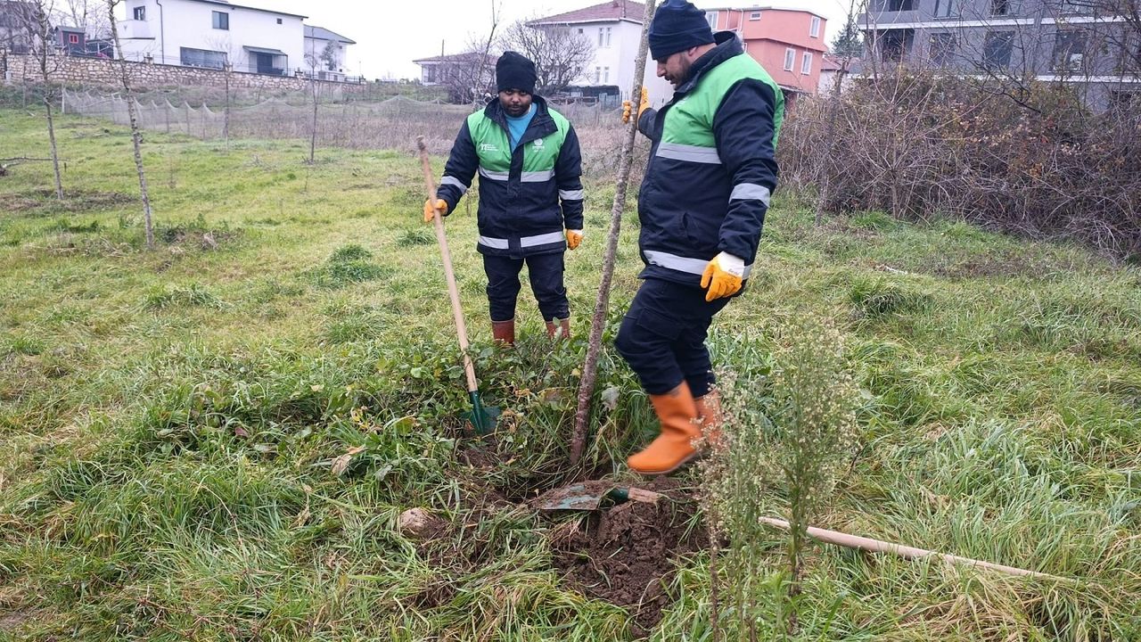 Başiskele’de Yeşil Gelecek İçin Yeni Adımlar