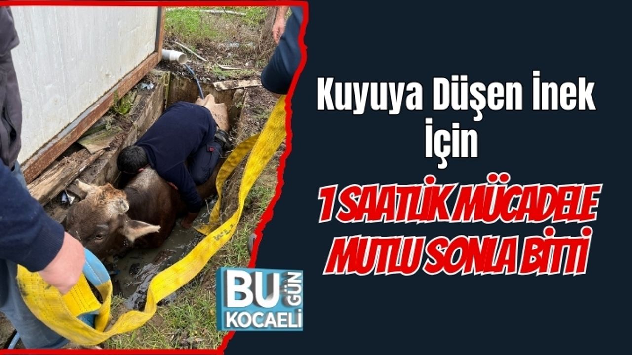 Kuyuya Düşen İnek İçin 1 Saatlik Mücadele Mutlu Sonla Bitti