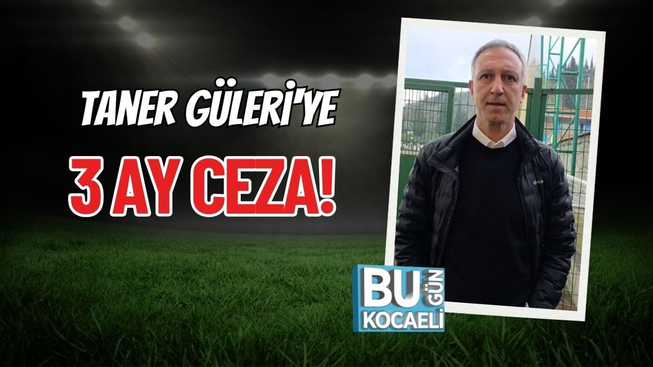 Taner Güleri'ye 3 Ay Ceza