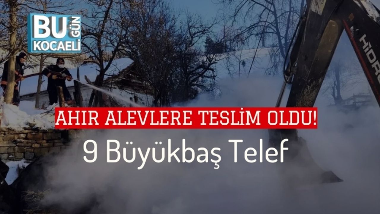 Ahır Alevlere Teslim Oldu: 9 Büyükbaş Telef