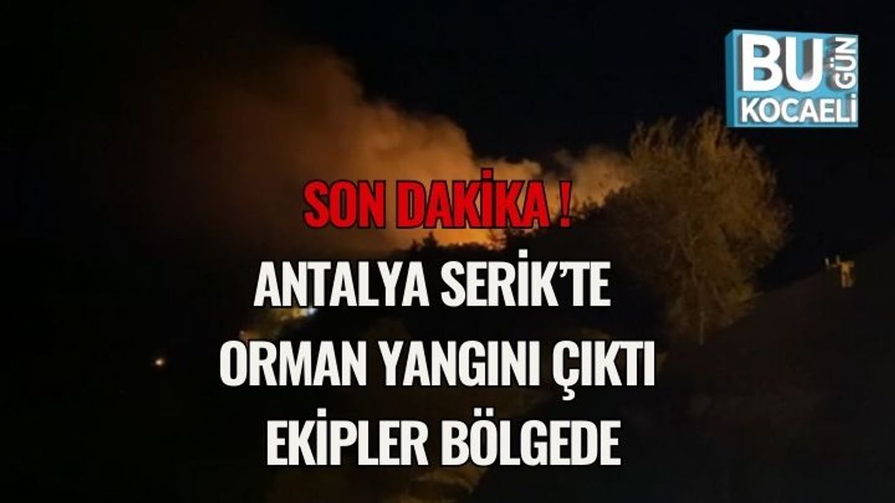 Son Dakika | Antalya Serik’te Orman Yangını Çıktı: Ekipler Bölgede