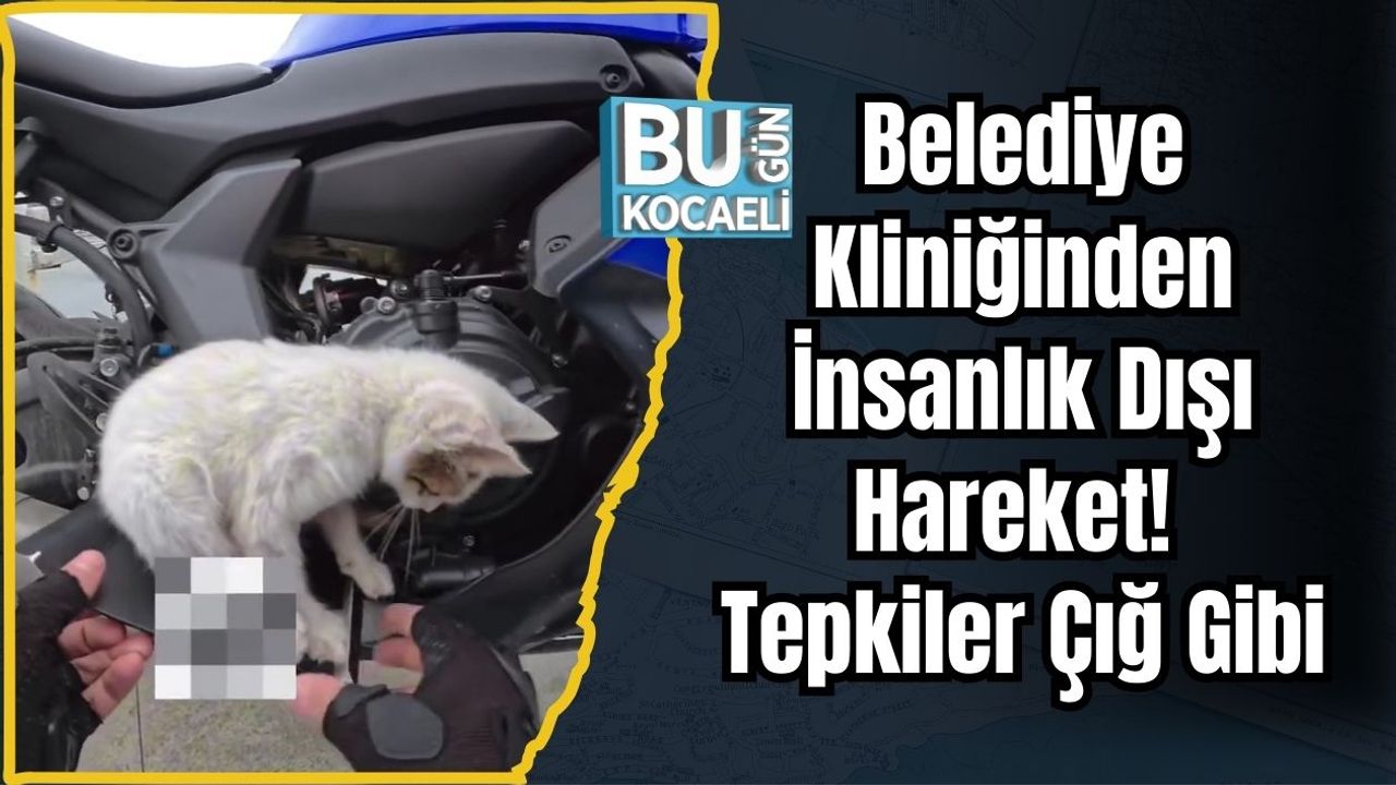 Belediye Kliniğinden İnsanlık Dışı Hareket! Tepkiler Çığ Gibi