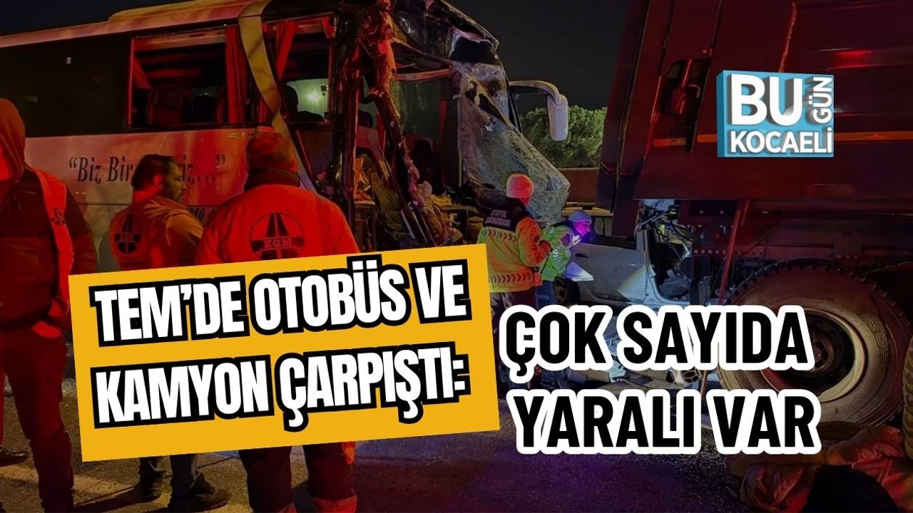 TEM’de Otobüs ve Kamyon Çarpıştı: Çok Sayıda Yaralı Var
