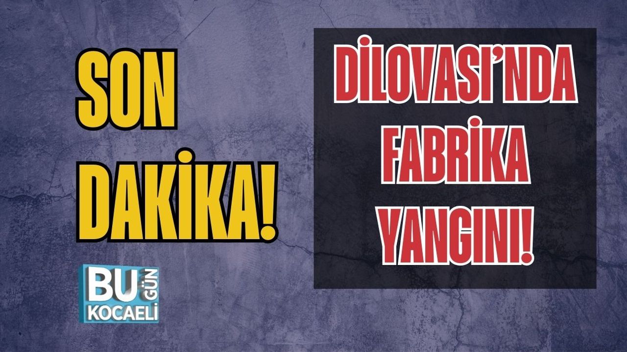 Dilovası’nda Fabrika Yangını!