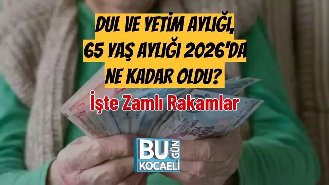 Dul ve Yetim Aylığı, 65 Yaş Aylığı 2026'da Ne Kadar Oldu? İşte Zamlı Rakamlar