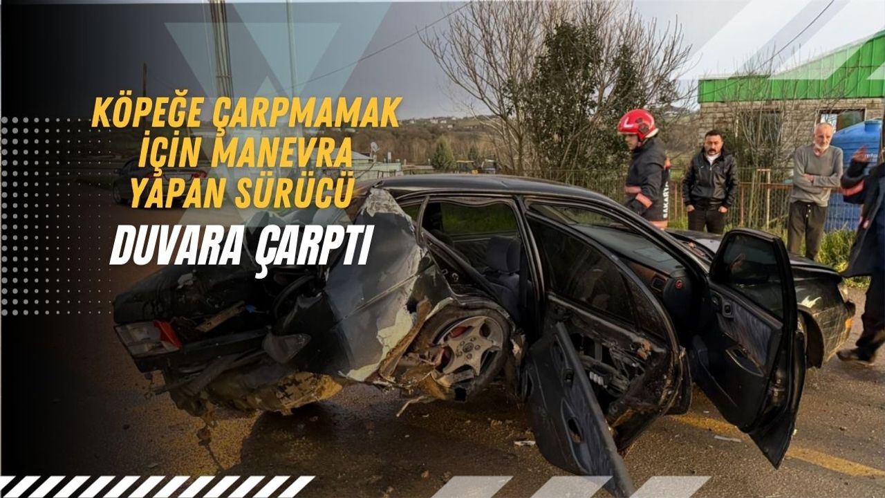 Köpeğe Çarpmamak İçin Manevra Yapan Sürücü Duvara Çarptı
