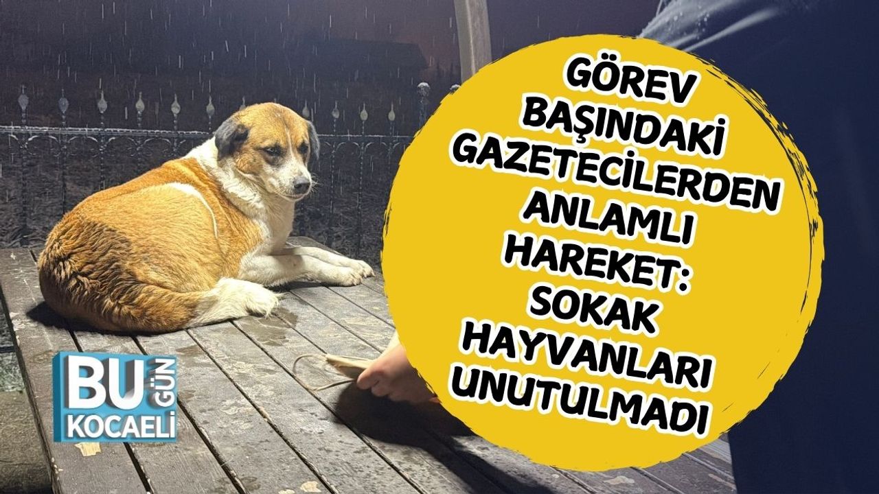 Görev Başındaki Gazetecilerden Anlamlı Hareket: Sokak Hayvanları Unutulmadı