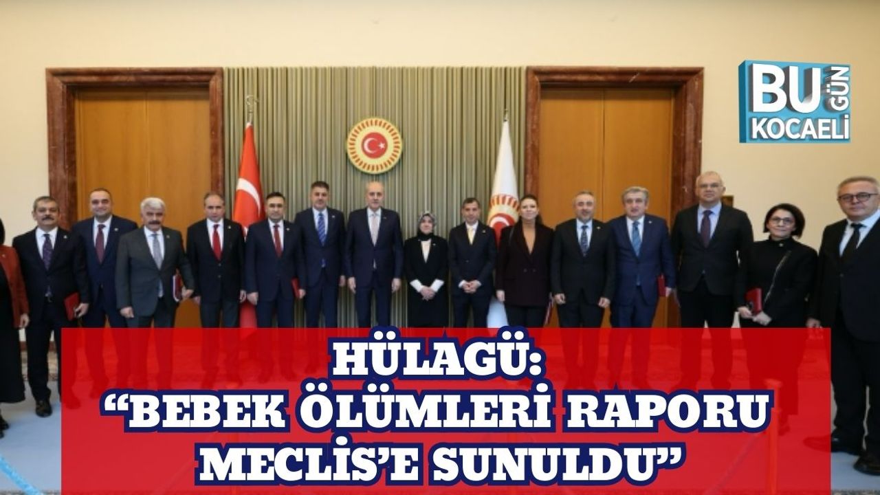 Hülagü: “Bebek Ölümleri Raporu Meclis’e Sunuldu”
