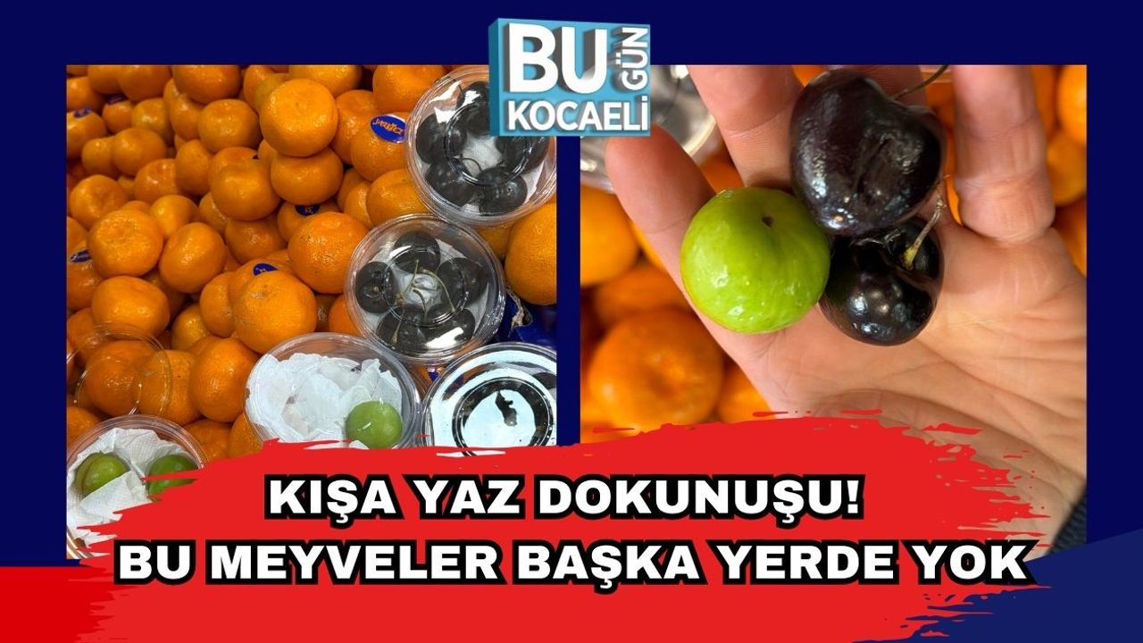 Kışa Yaz Dokunuşu! Bu Meyveler Başka Yerde Yok