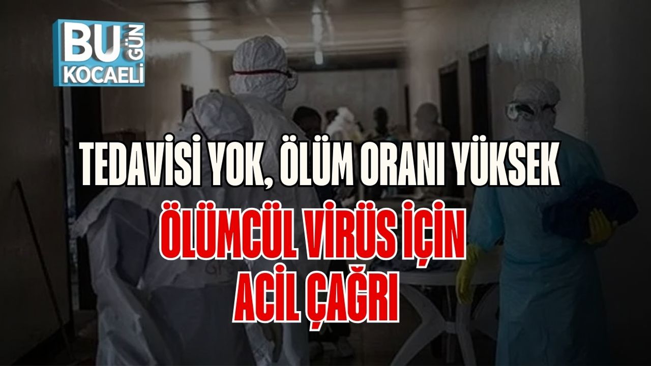 Tedavisi Yok, Ölüm Oranı Yüksek: Ölümcül Virüs İçin Acil Çağrı