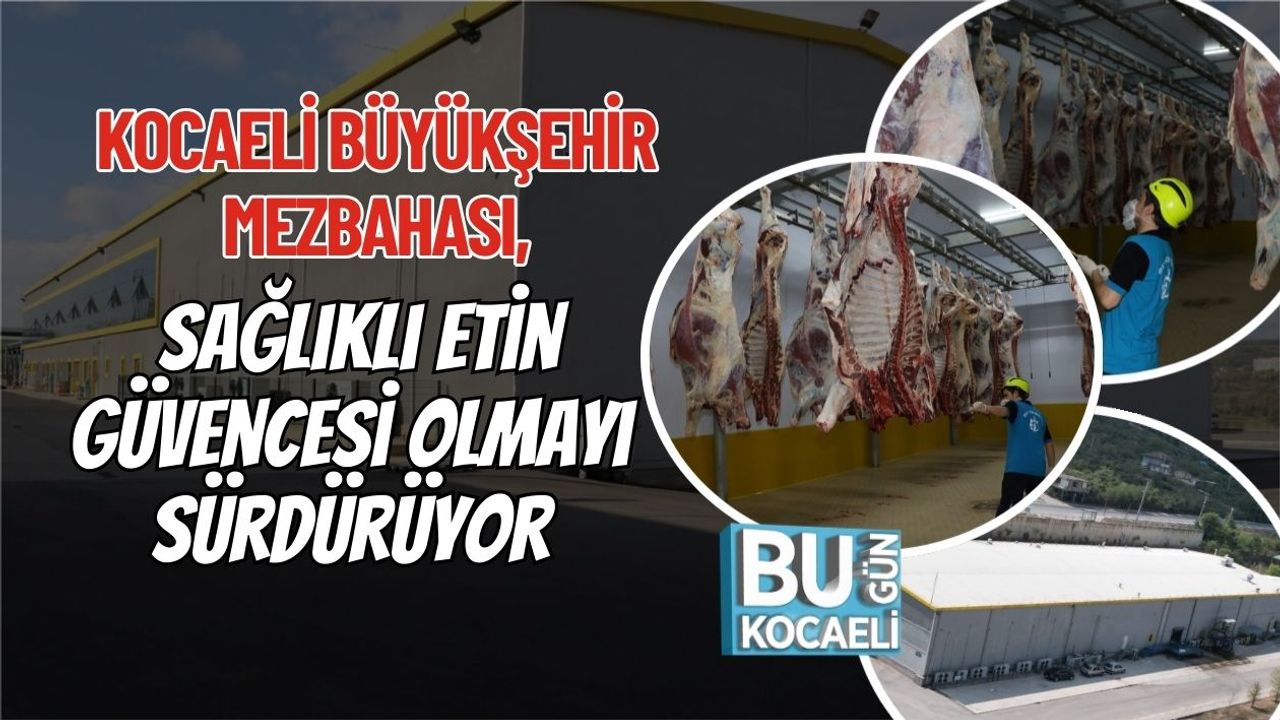 Kocaeli Büyükşehir Mezbahası, Sağlıklı Etin Güvencesi Olmayı Sürdürüyor