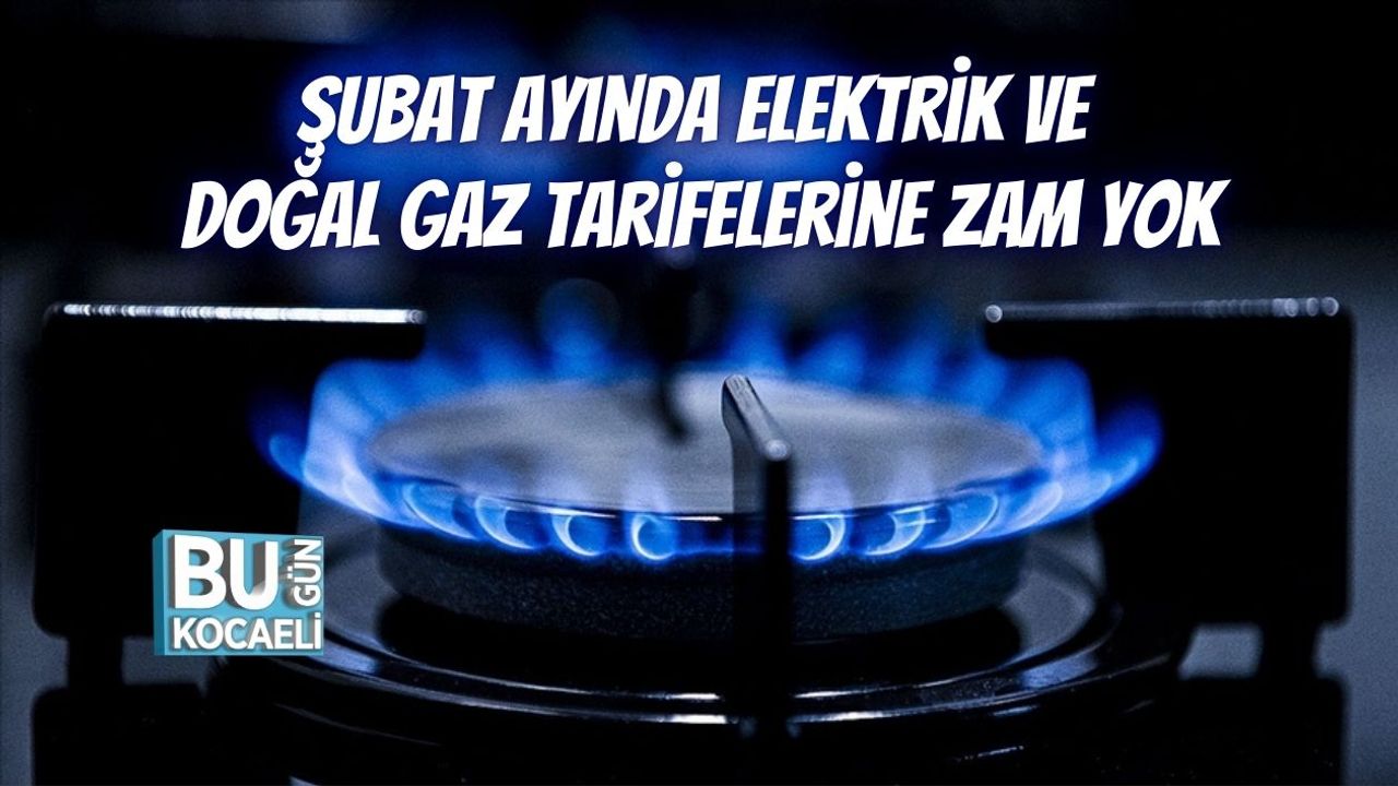 Şubat Ayında Elektrik ve Doğal Gaz Tarifelerine Zam Yok