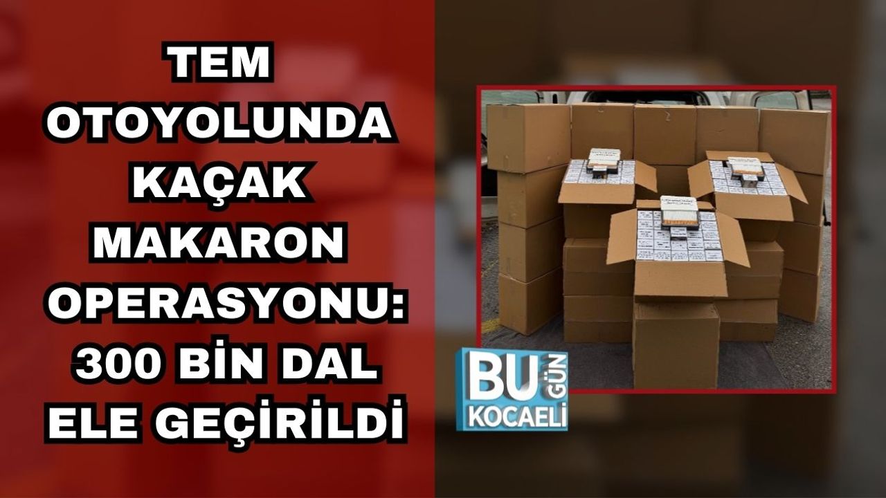 TEM Otoyolunda Kaçak Makaron Operasyonu: 300 Bin Dal Ele Geçirildi