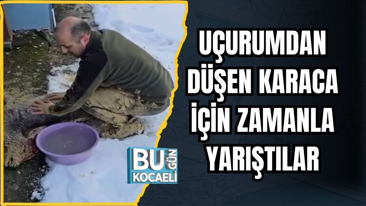 Uçurumdan Düşen Karaca İçin Zamanla Yarıştılar