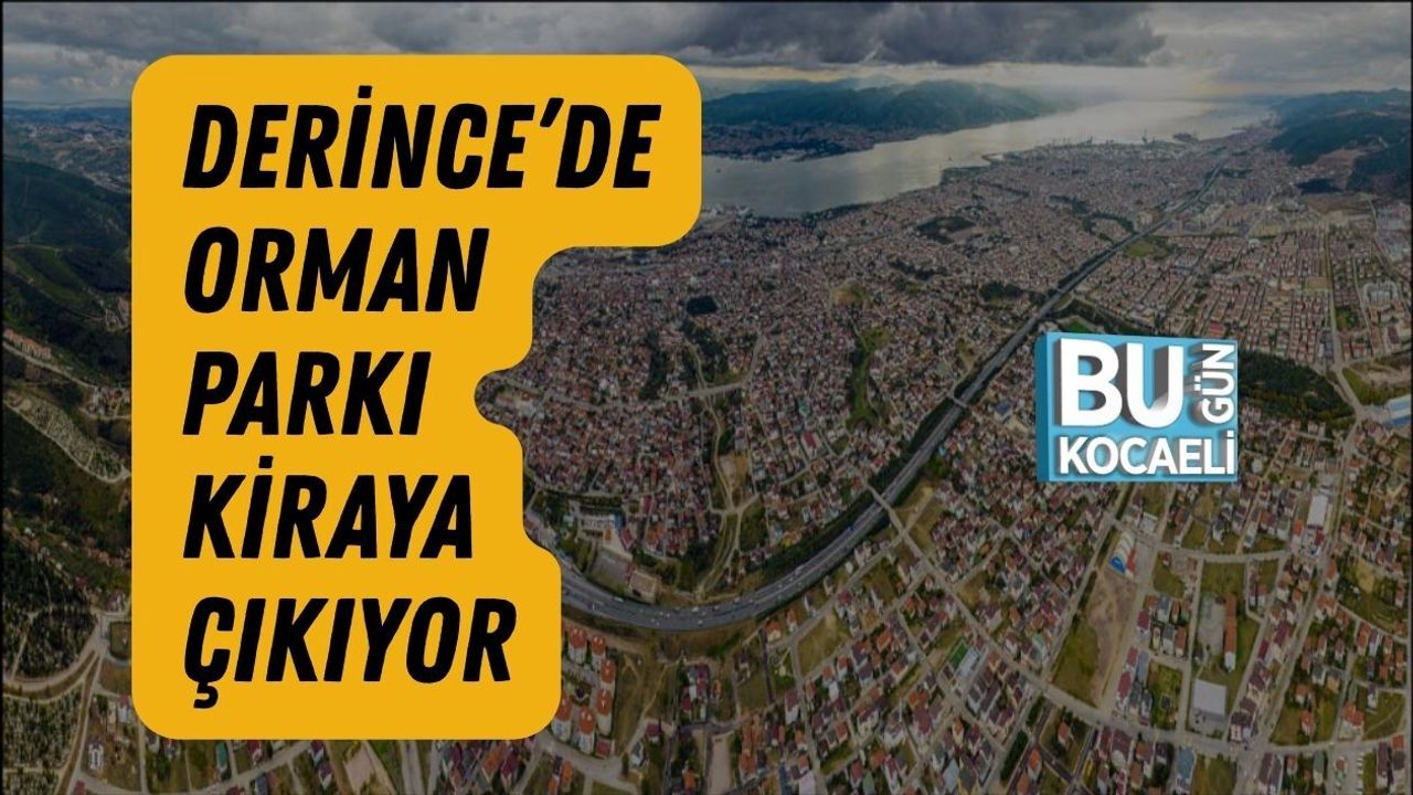 DERİNCE’DE ORMAN PARKI KİRAYA ÇIKIYOR