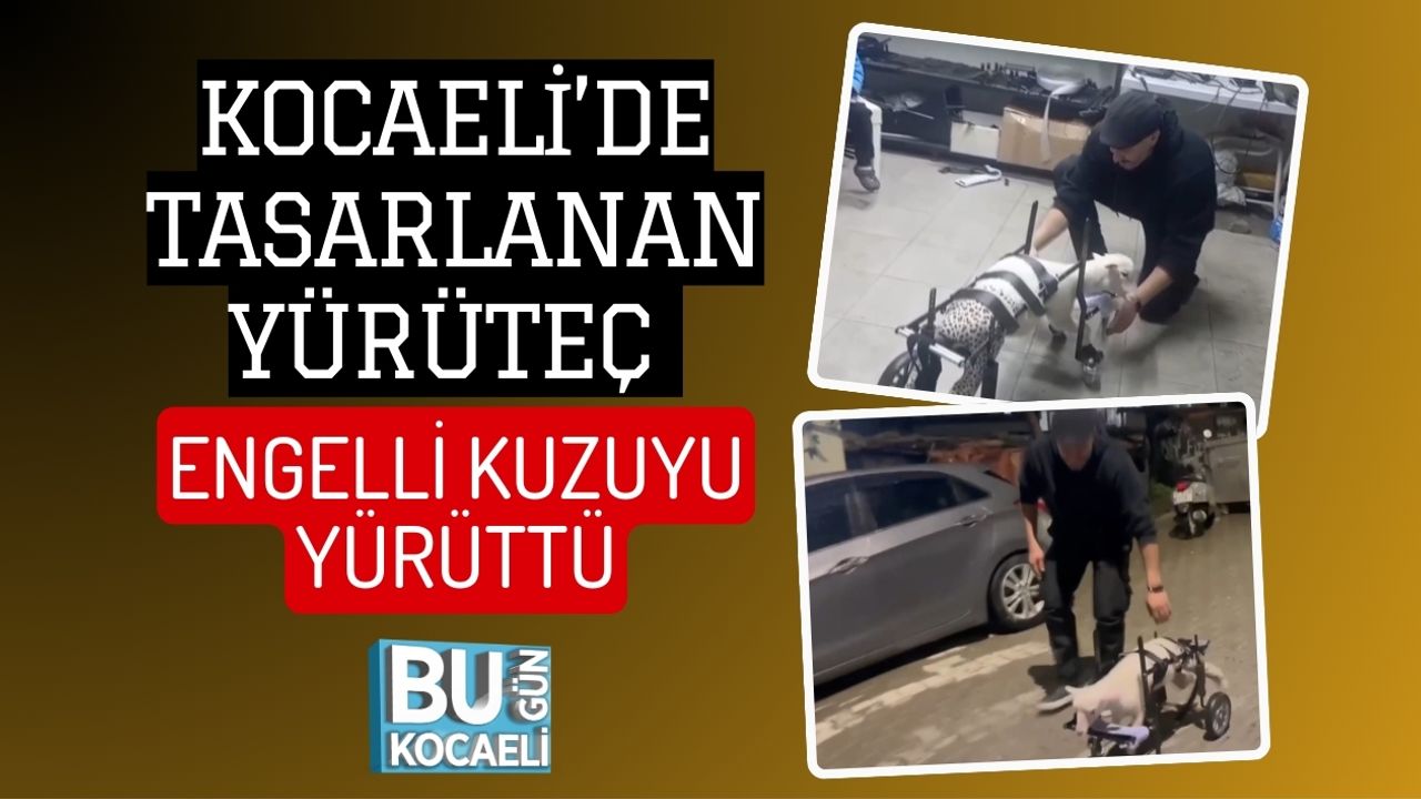 KOCAELİ’DE TASARLANAN YÜRÜTEÇ ENGELLİ KUZUYU YÜRÜTTÜ