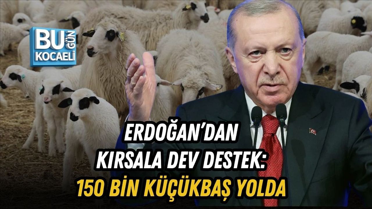 ERDOĞAN’DAN KIRSALA DEV DESTEK: 150 BİN KÜÇÜKBAŞ YOLDA