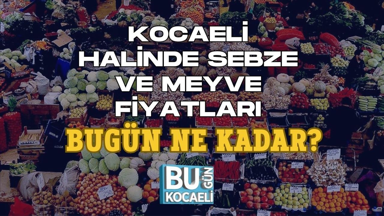 KOCAELİ HALİNDE SEBZE VE MEYVE FİYATLARI BUGÜN NE KADAR?