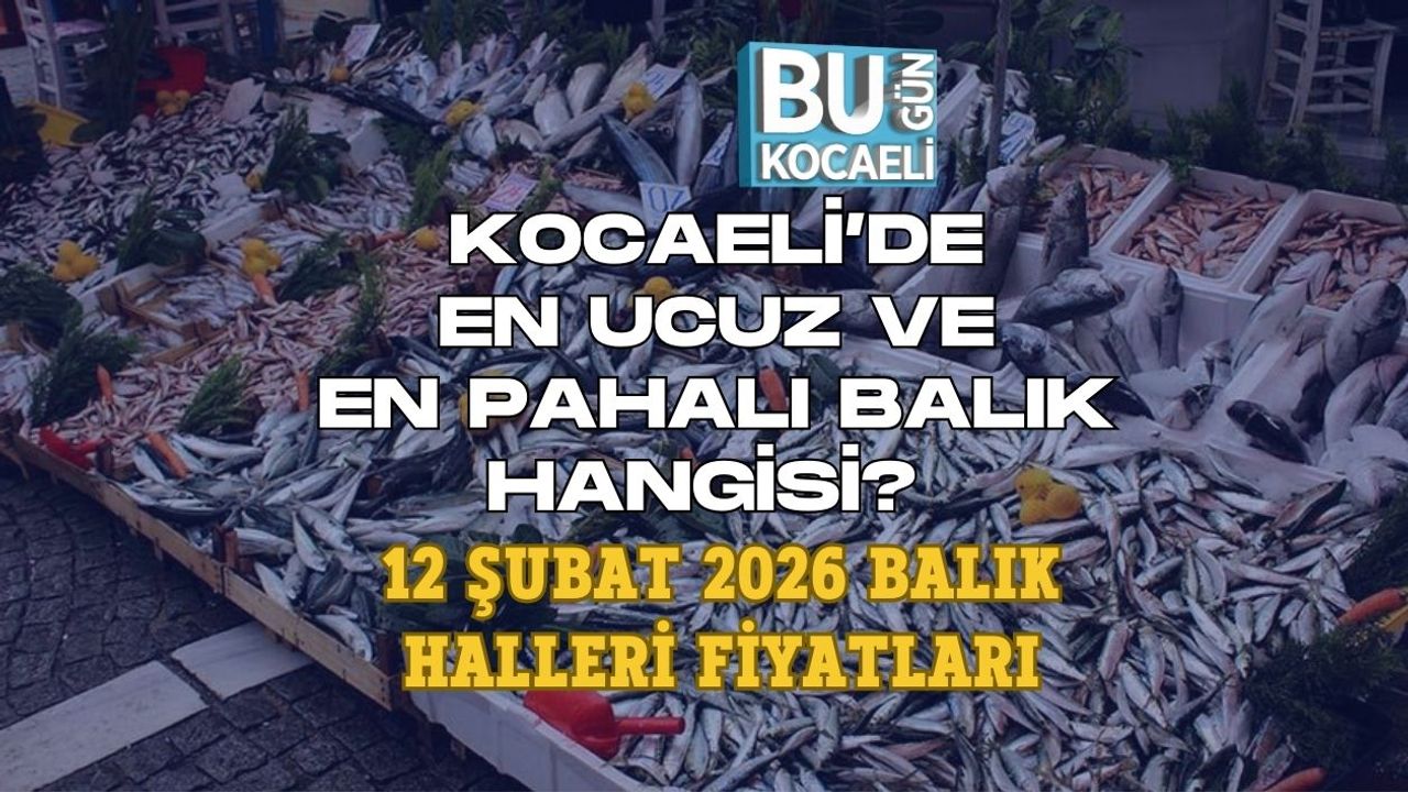 KOCAELİ’DE EN UCUZ VE EN PAHALI BALIK HANGİSİ? 12 ŞUBAT 2026 BALIK HALLERİ FİYATLARI