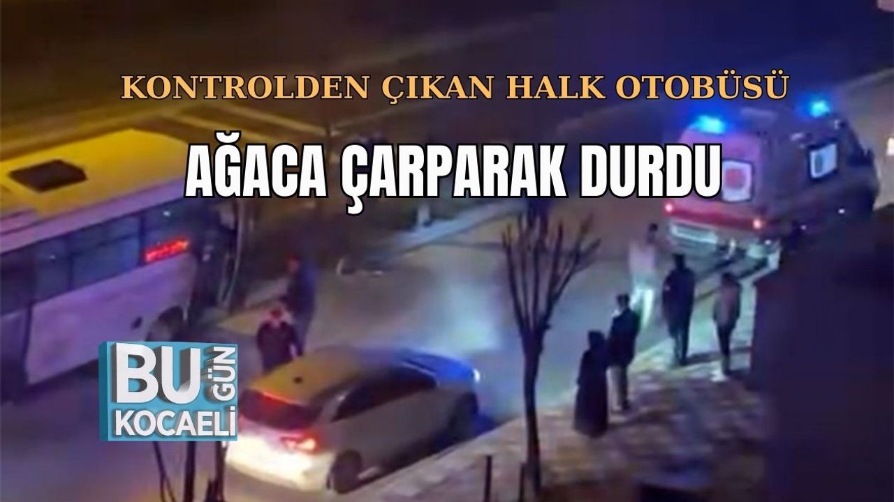 KONTROLDEN ÇIKAN HALK OTOBÜSÜ AĞACA ÇARPARAK DURDU