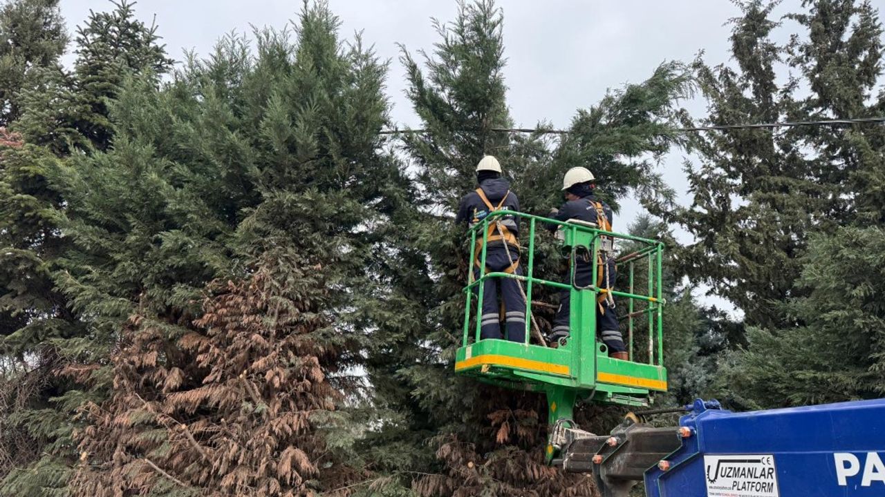 KARTEPE’DE MEZARLIKLARDA VE MEYDANLARA YOĞUN BAKIM
